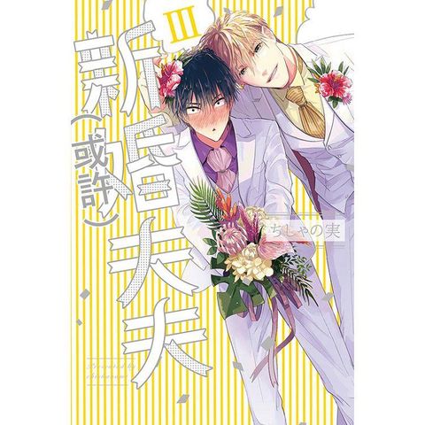 我們是新婚夫夫（或許）Ⅲ（全）