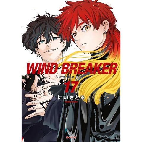 WIND BREAKER–防風少年–(17)