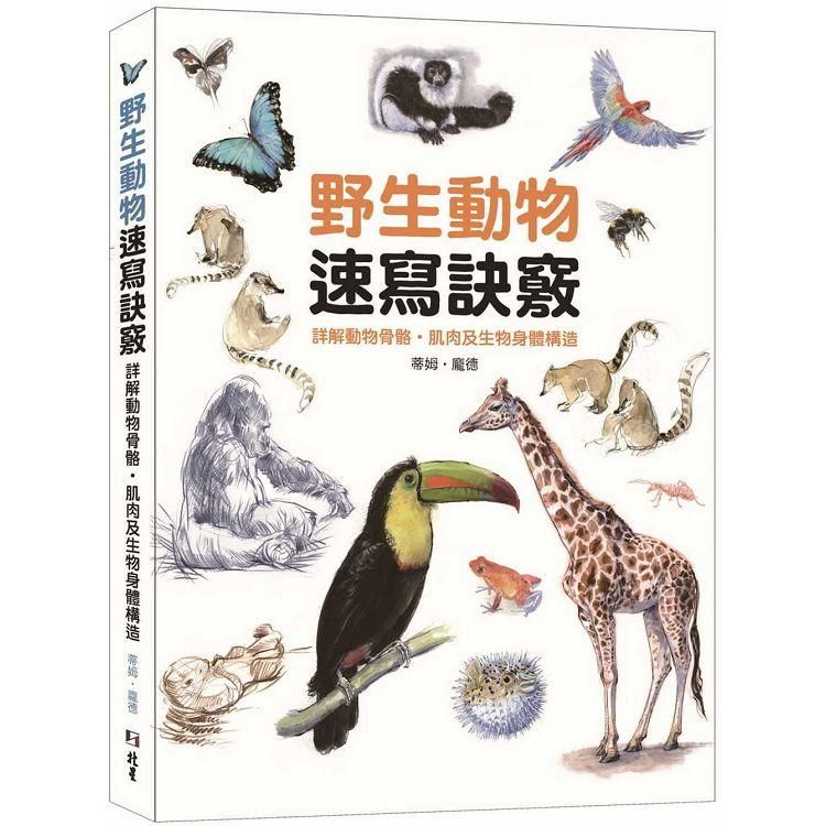  野生動物速寫訣竅：詳解動物骨骼、肌肉及生物身體構造