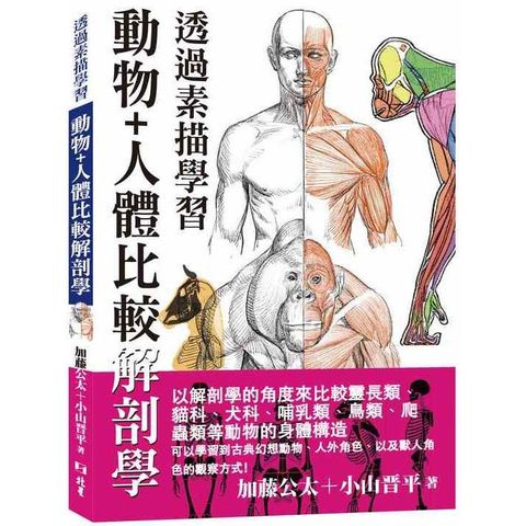透過素描學習 ： 動物+人體比較解剖學