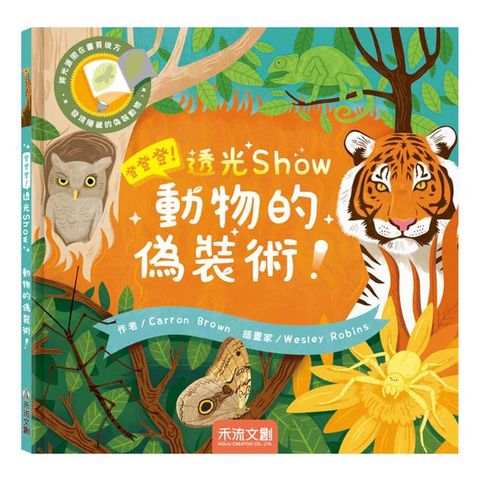 登登登！透光Show動物的偽裝術！