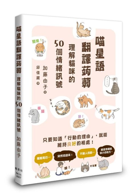 喵星語翻譯蒟蒻：理解貓咪的50個情緒訊號