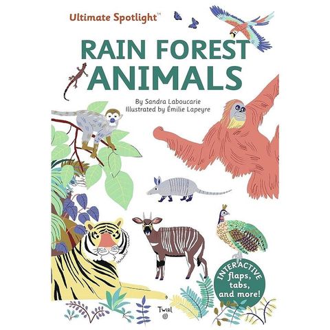 Ultimate Spotlight: Rain Forest Animals