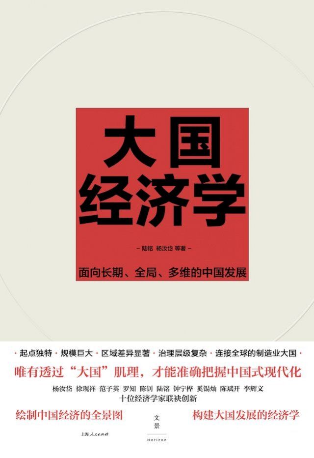  大国经济学：面向长期、全局、多维的中国发展(Kobo/電子書)