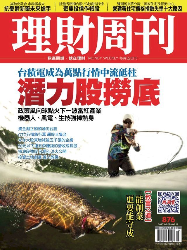  理財周刊876期_政策風向球 潛力股撈底(Kobo/電子書)