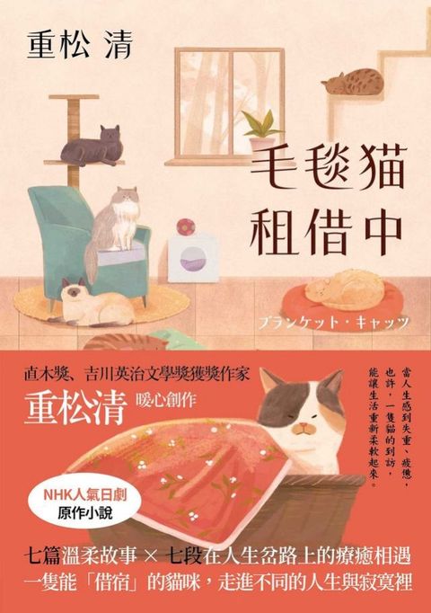 毛毯貓租借中