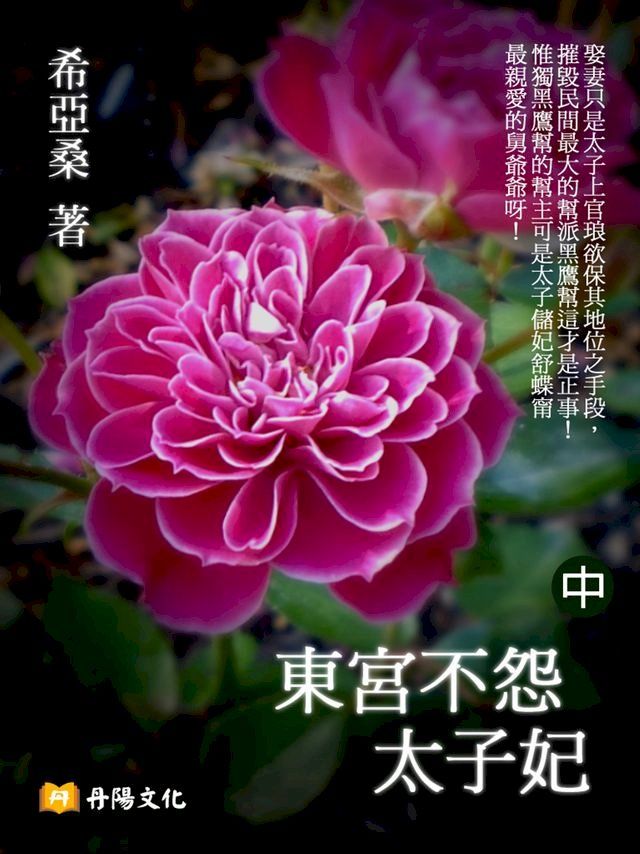  東宮不怨太子妃 中 (共3冊)(Kobo/電子書)