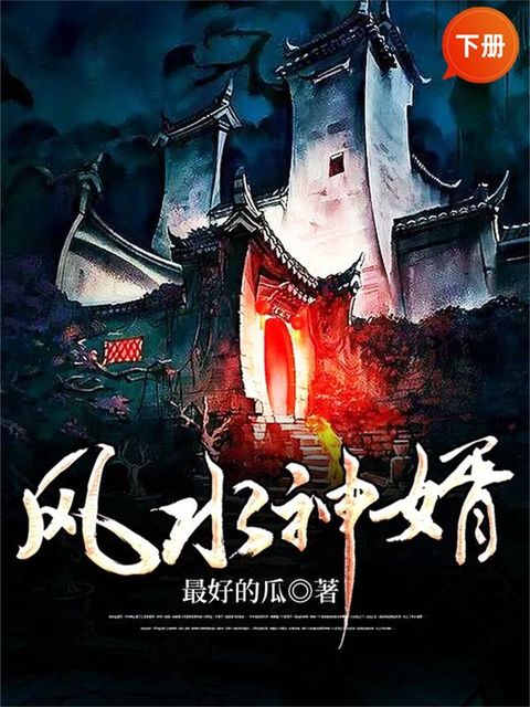 风水神婿（下册）