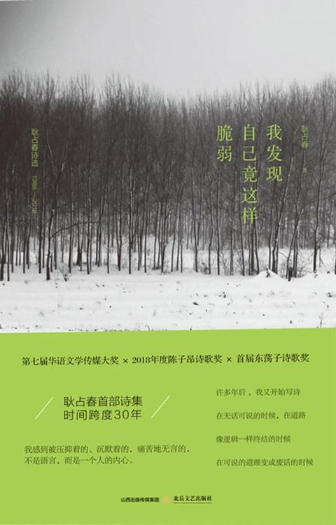 我发现自己竟这样脆弱(Kobo/電子書)