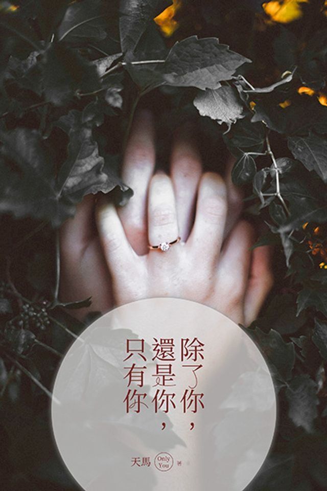  除了你，還是你，只有你(Kobo/電子書)