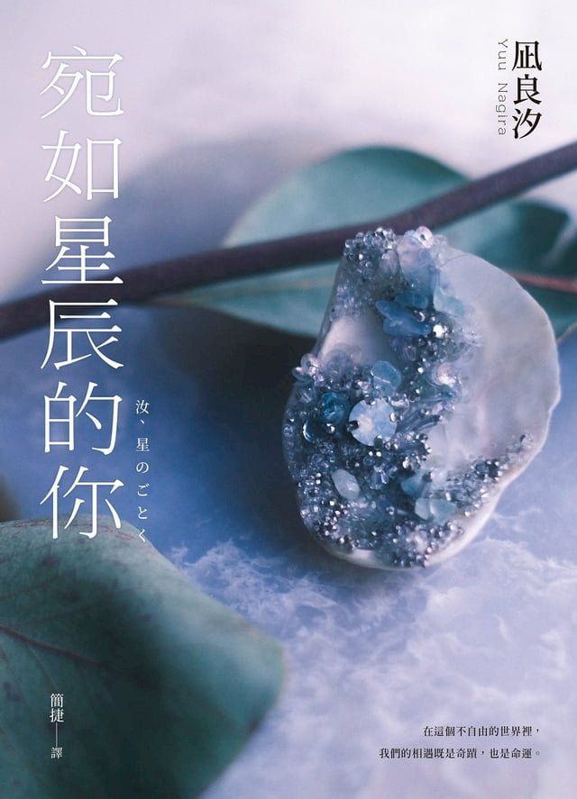  宛如星辰的你【2023年本屋大賞TOP1】（璀璨如星版書封）(Kobo/電子書)