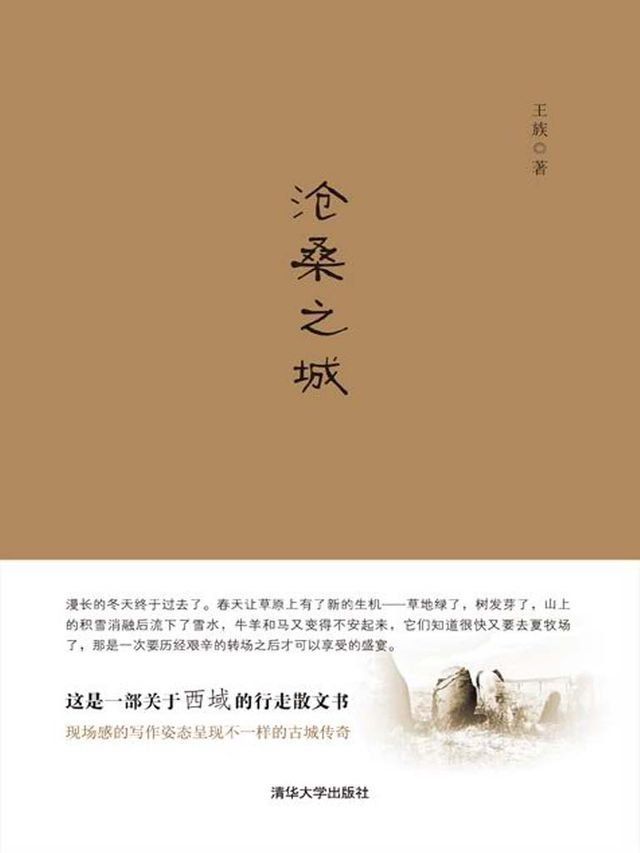  沧桑之城(Kobo/電子書)