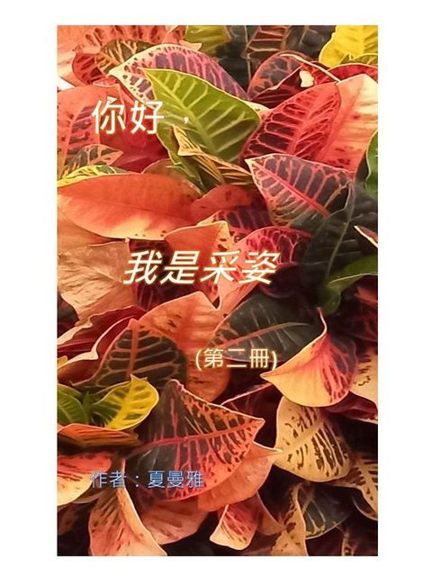 你好，采姿(第二冊)(Kobo/電子書)