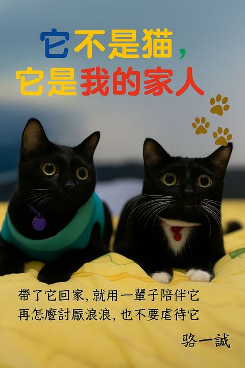 它不是貓,它是我的家人