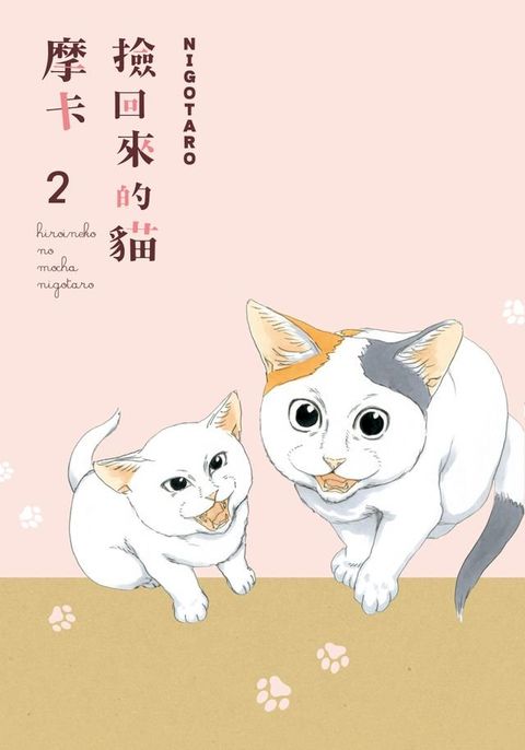 撿回來的貓 摩卡 (2)