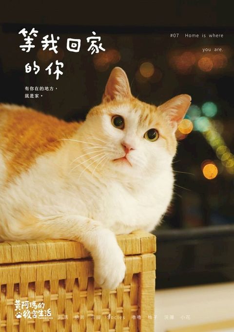 黃阿瑪的後宮生活：等我回家的你(Kobo/電子書)