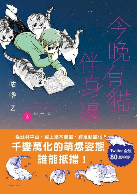 今晚有貓伴身邊(3)