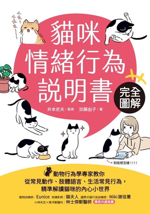 貓咪情緒行為說明書
