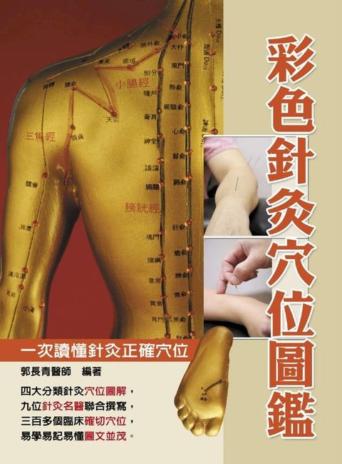 彩色針灸穴位圖鑑（彩）(Kobo/電子書)