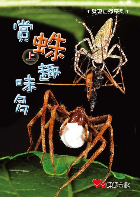 賞蛛趣味多（上）