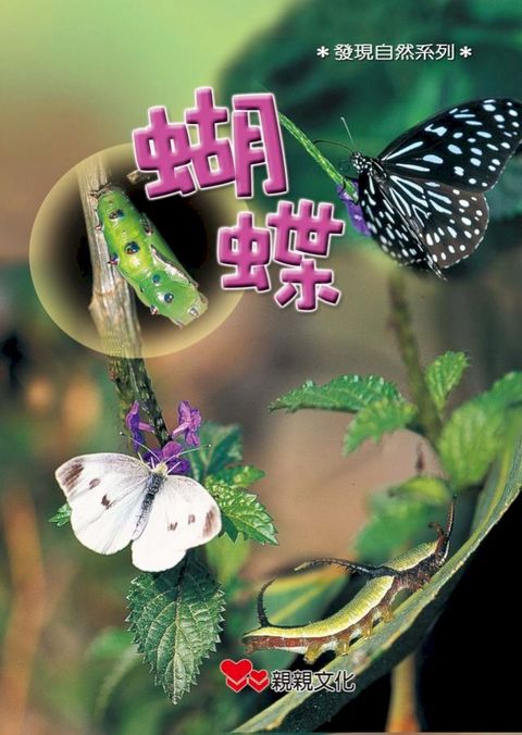 蝴蝶