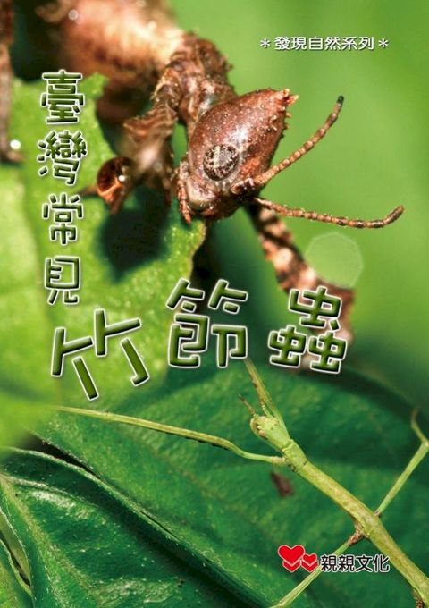 臺灣常見竹節蟲