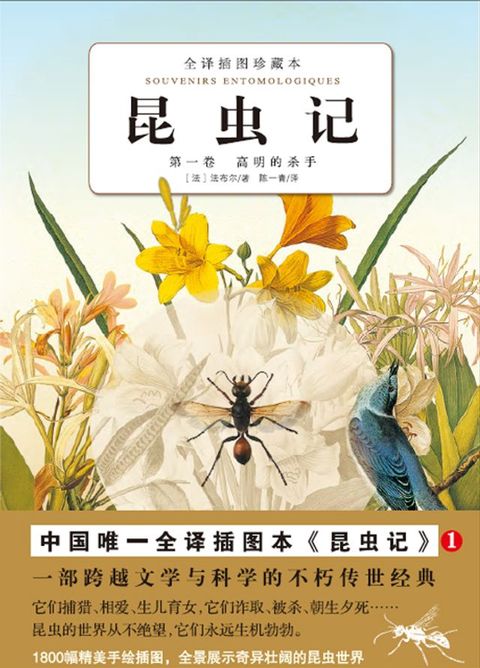 昆虫记：高明的杀手（第1卷）
