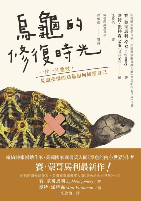 烏龜的修復時光