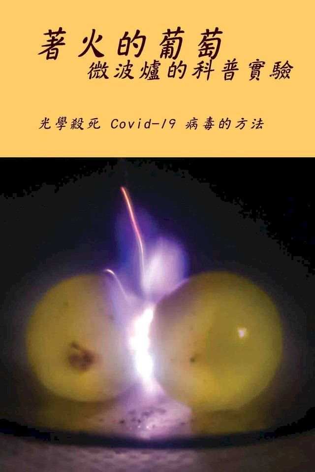  著火的葡萄，微波爐的科普實驗(Kobo/電子書)