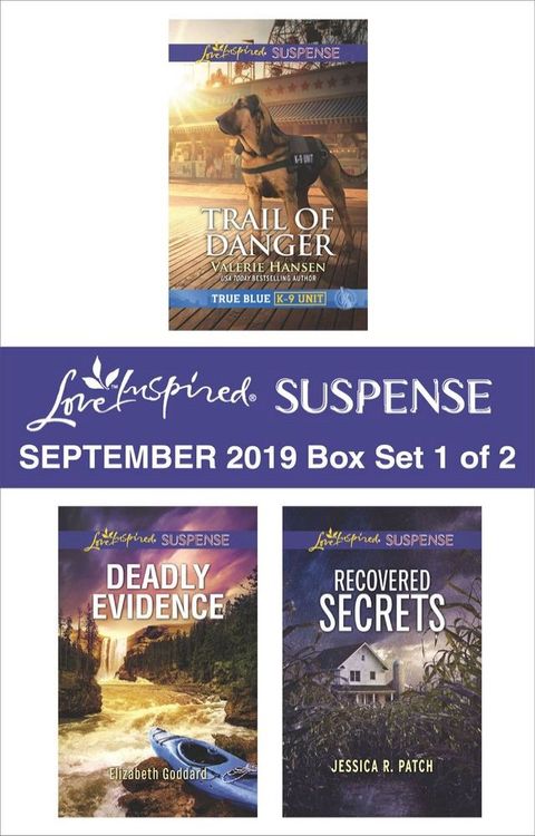 Harlequin Love Inspired Suspense September 2019 - Box Set 1 of 2(Kobo/電子書)