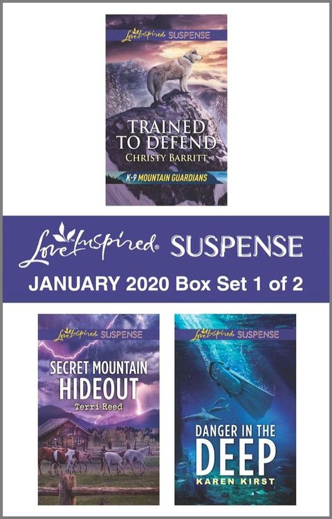 Harlequin Love Inspired Suspense January 2020 - Box Set 1 of 2(Kobo/電子書)