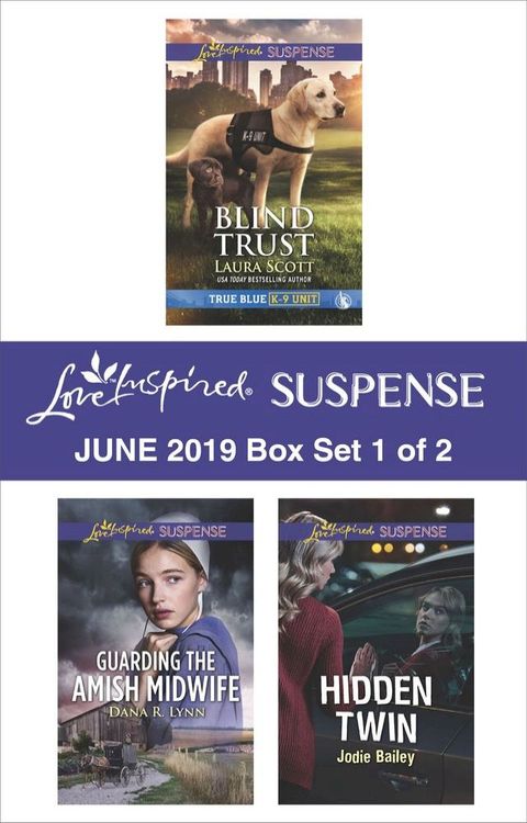 Harlequin Love Inspired Suspense June 2019 - Box Set 1 of 2(Kobo/電子書)