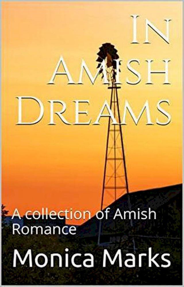  In Amish Dreams : A Collection of Amish Romance(Kobo/電子書)