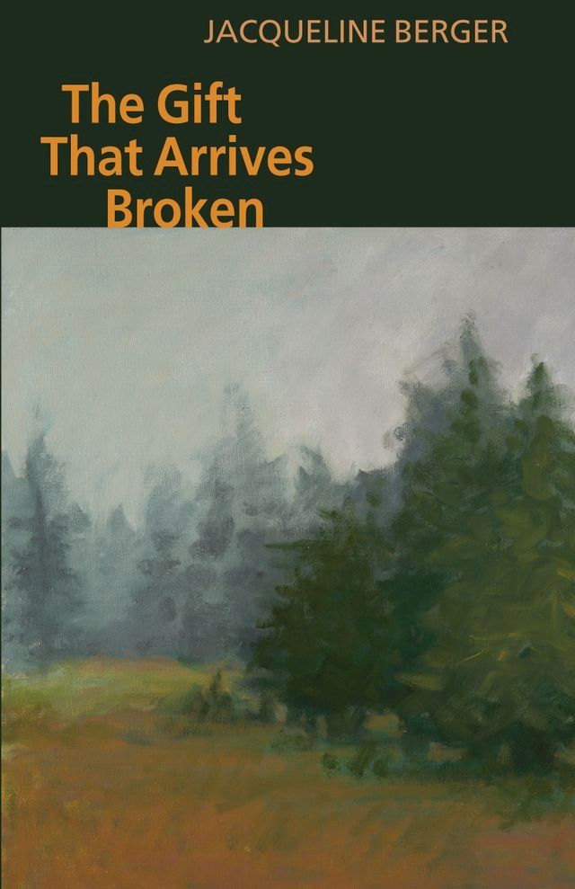  The Gift That Arrives Broken(Kobo/電子書)