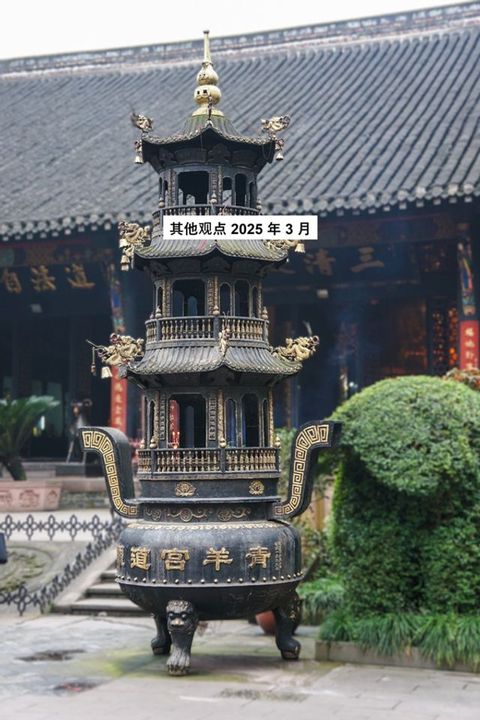 其他观点 2025 年 3 月