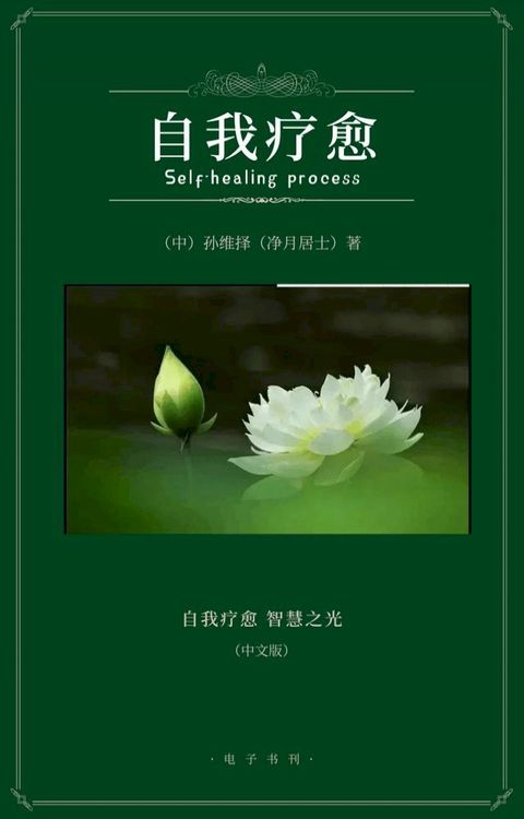 《自我疗愈》中文版(Kobo/電子書)