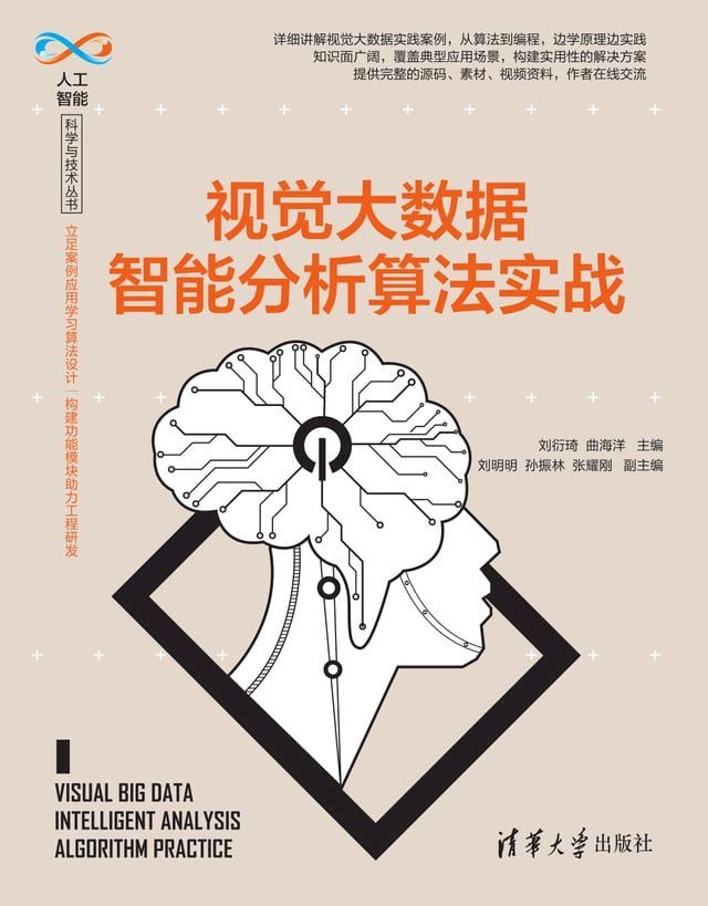  视觉大数据智能分析算法实战(Kobo/電子書)