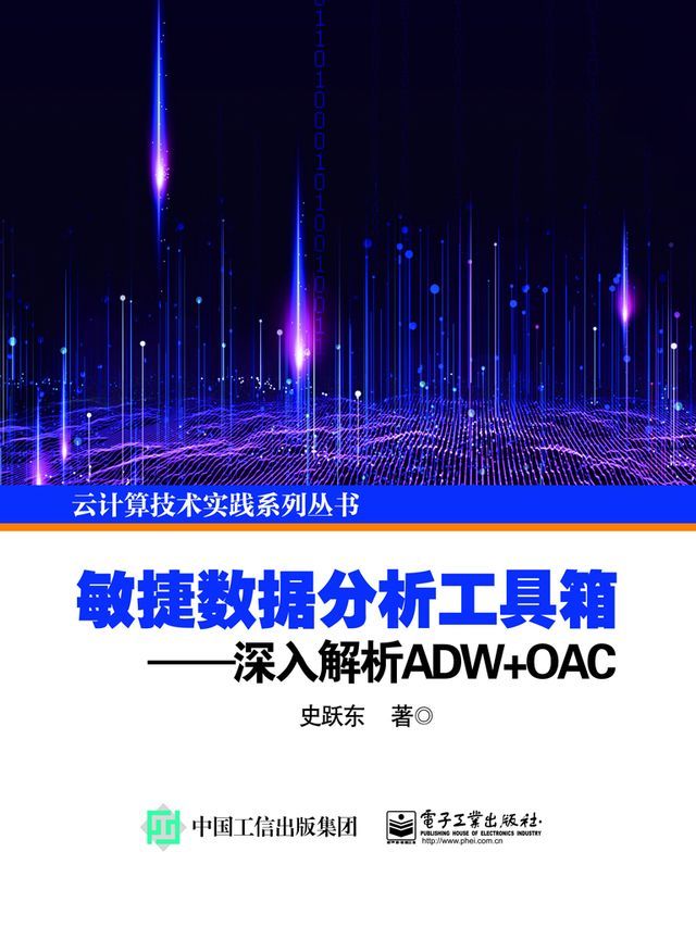  敏捷数据分析工具箱：深入解析ADW+OAC(Kobo/電子書)