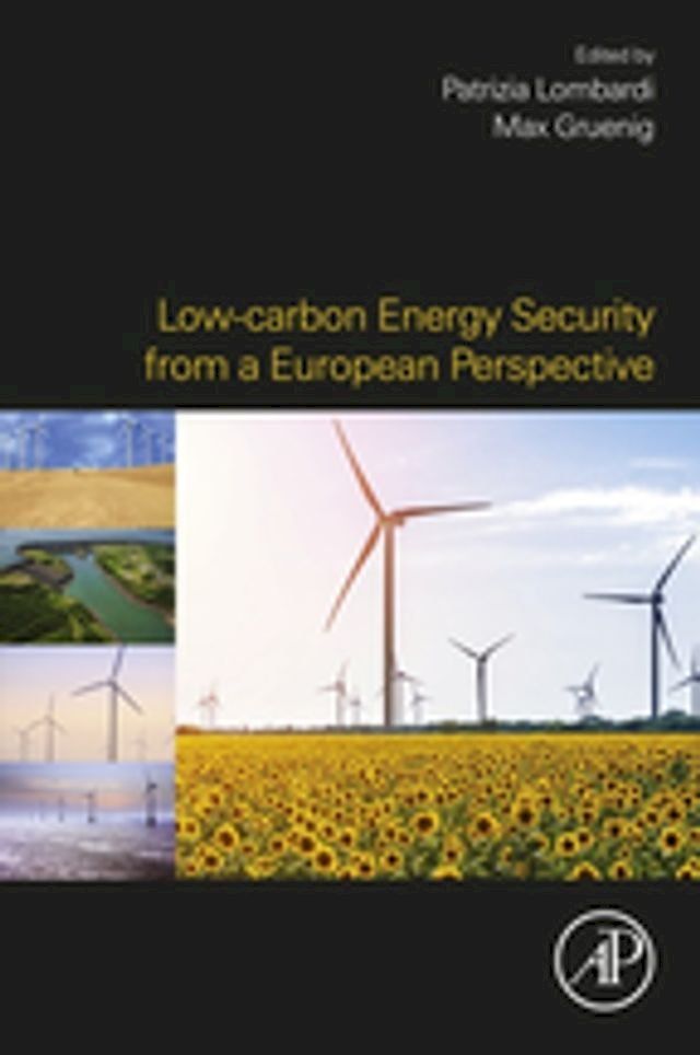  Low-carbon Energy Security from a European Perspective(Kobo/電子書)