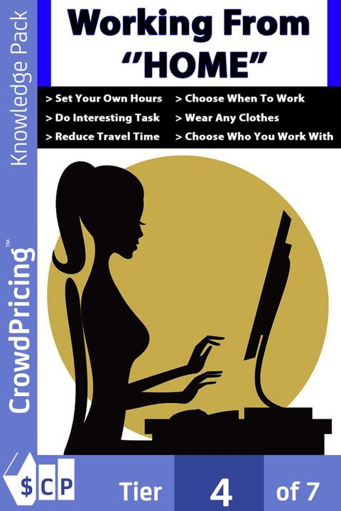 Working From Home: Finding Success in Work From Home Businesses(Kobo/電子書)