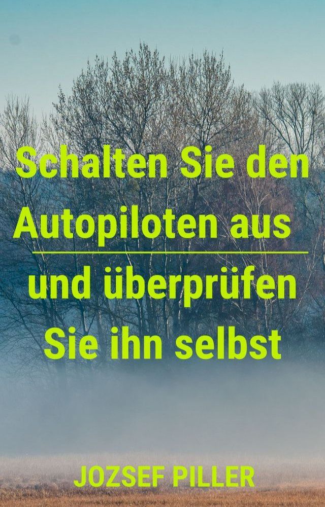  Schalten Sie den Autopiloten aus und überprüfen Sie ihn selbst(Kobo/電子書)