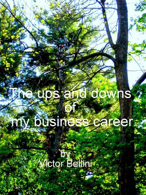 The Ups And Downs Of My Business Career(Kobo/電子書)