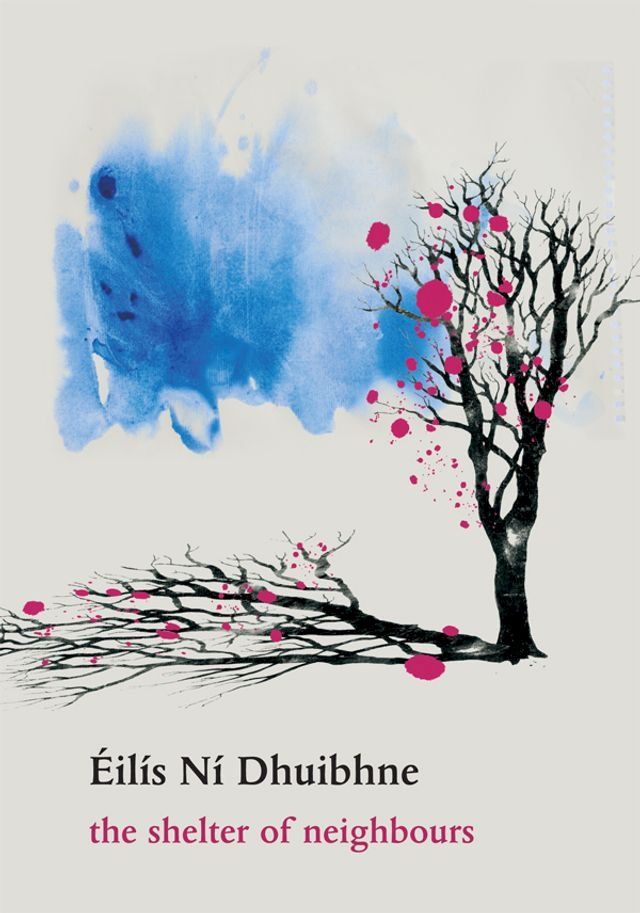  The Shelter of Neighbours: Fourteen Contemporary Irish Short Stories(Kobo/電子書)