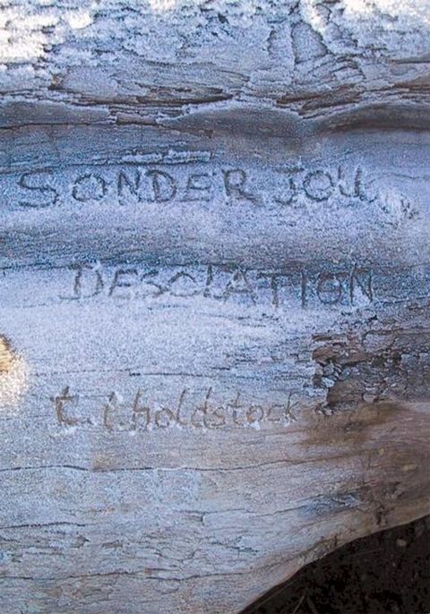 Sonder Jou/Desolation(Kobo/電子書)