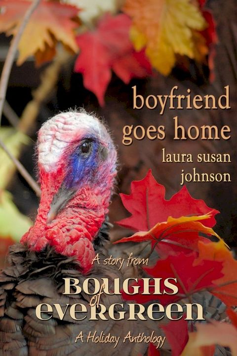 Boyfriend Goes Home(Kobo/電子書)