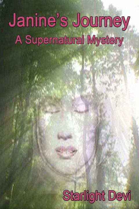 Janine's Journey: A Supernatural Mystery