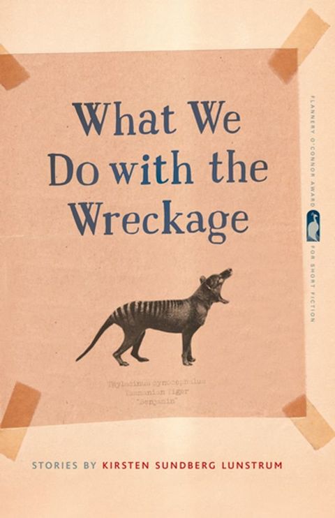 What We Do with the Wreckage(Kobo/電子書)