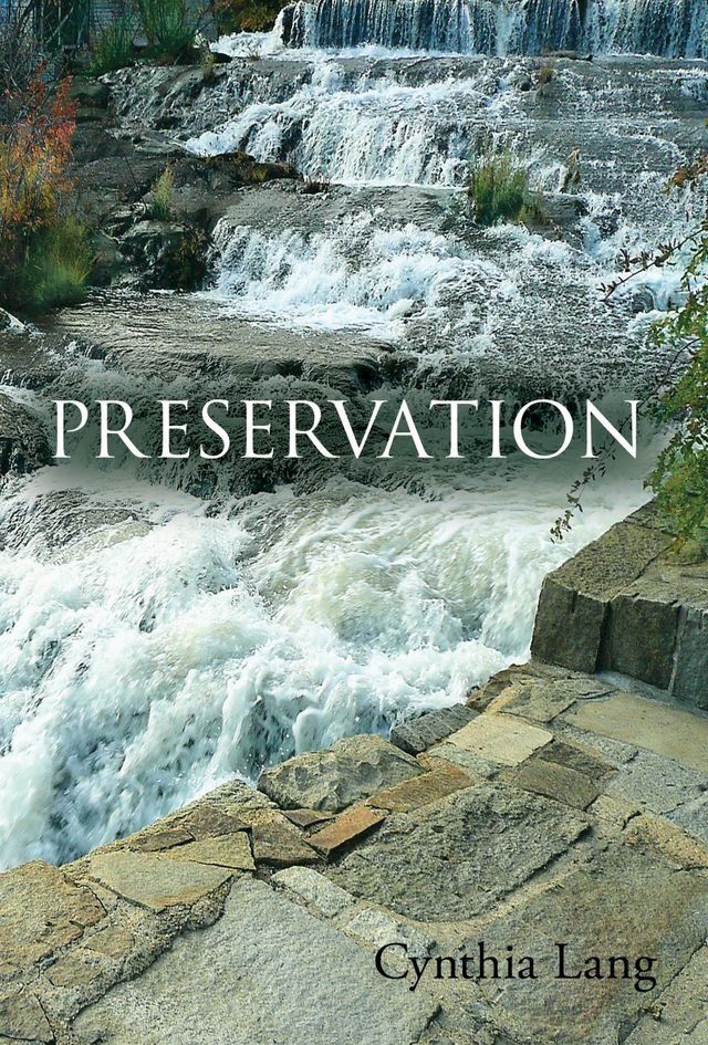  Preservation(Kobo/電子書)