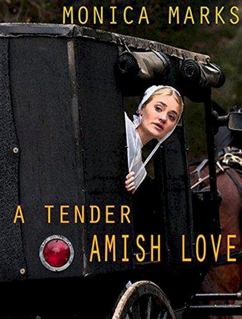 A Tender Amish Love(Kobo/電子書)