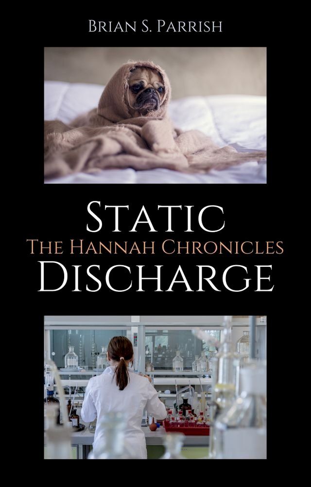  Static Discharge: The Hannah Chronicles(Kobo/電子書)